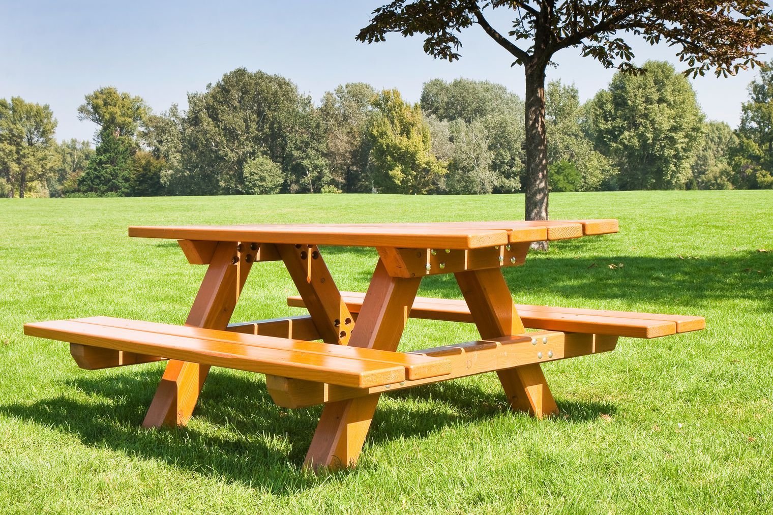 Picnic Bench